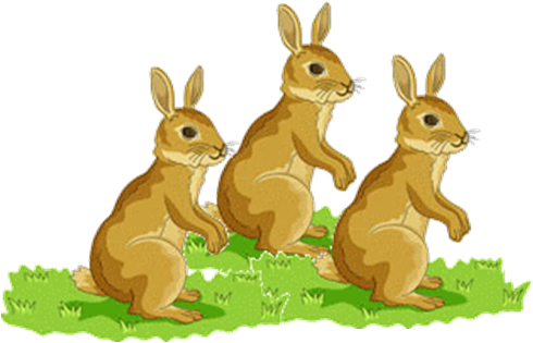 site de rencontre lapin